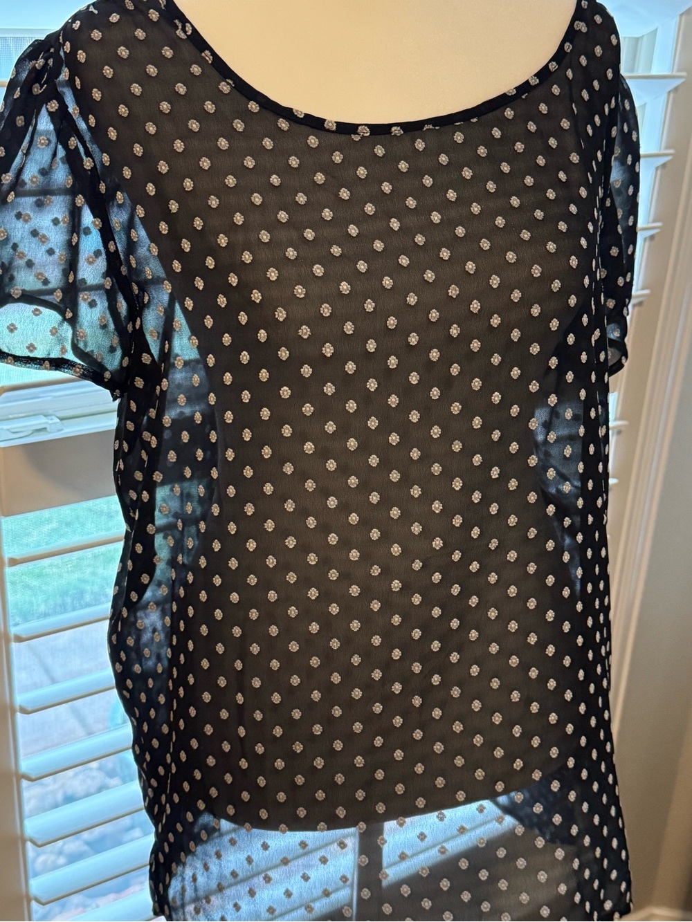 Pleione Black Sheer Dot Short Sleeve Blouse